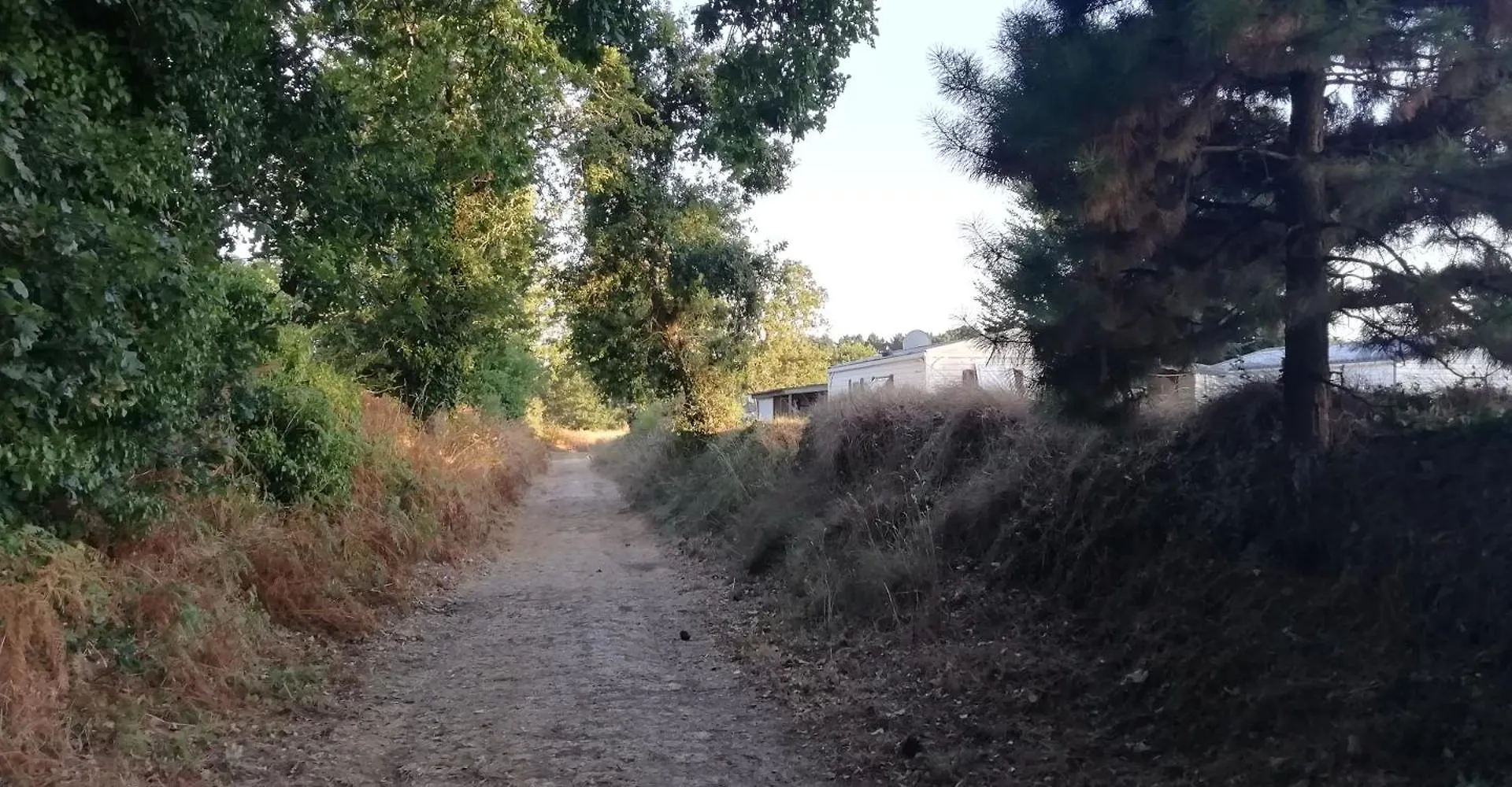 Camping Des Pierres Debout Névez